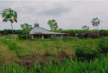 Photo of Misteri Makam Ulama Kedah di Langkat (Bagian 1): Kampung Pulau Haji